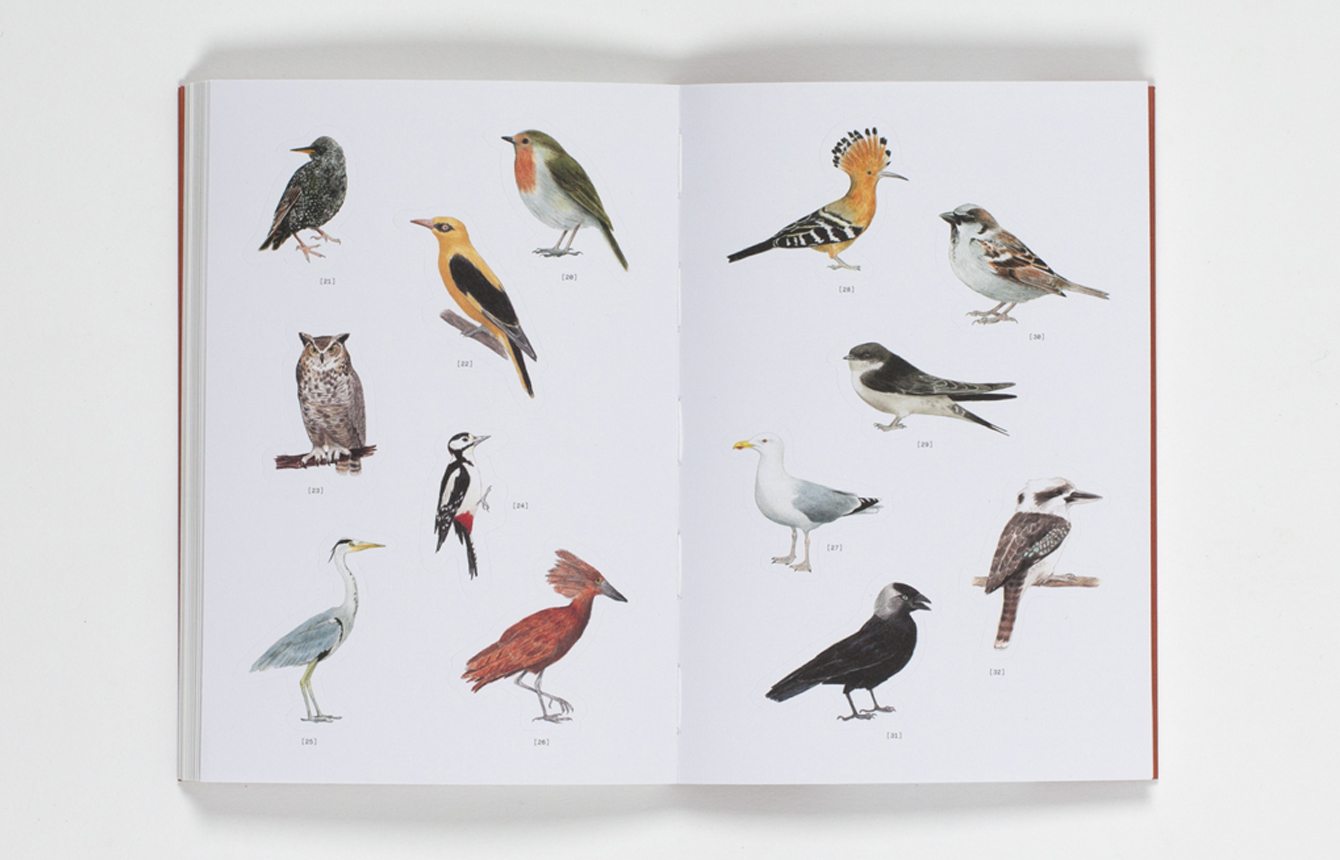 City Birds - An Urban Birdwatching Logbook