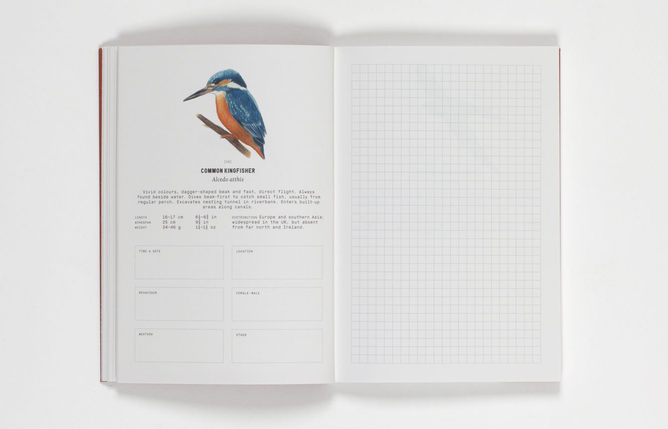 City Birds - An Urban Birdwatching Logbook