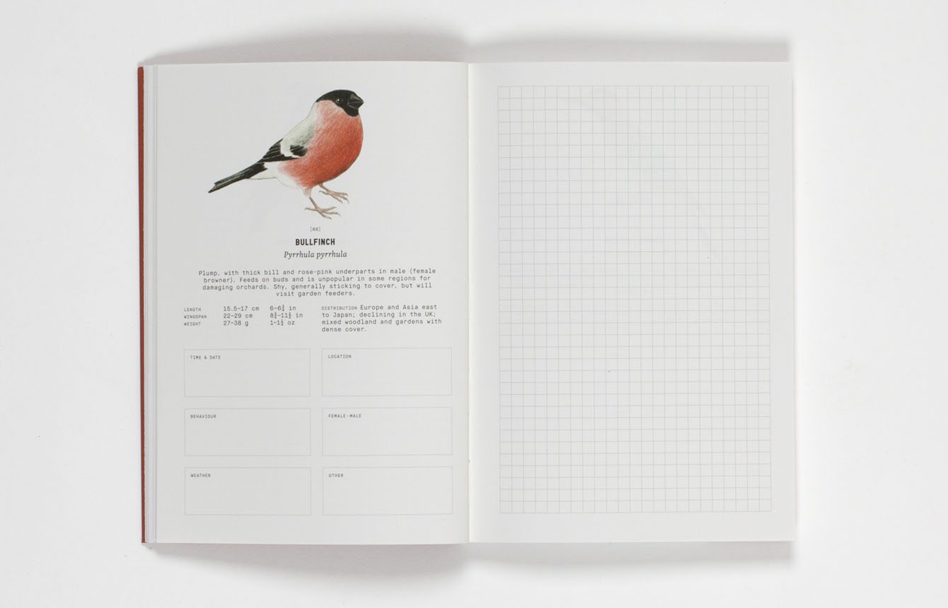 City Birds - An Urban Birdwatching Logbook