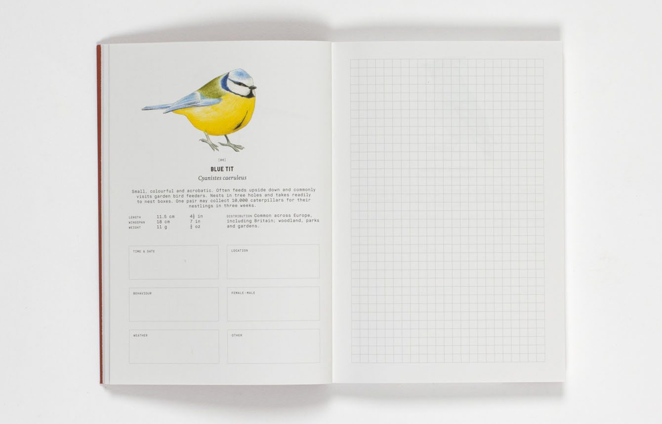 City Birds - An Urban Birdwatching Logbook